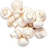 Champiñón blanco