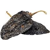 Chile ancho